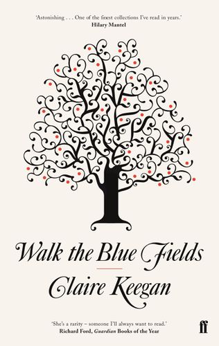 Cover image for Walk the Blue Fields