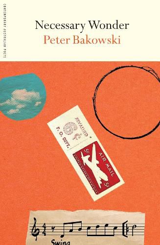 Cover image for Necessary Wonder