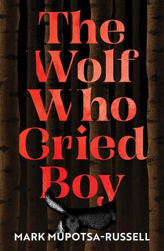 Cover image for The Wolf Who Cried Boy